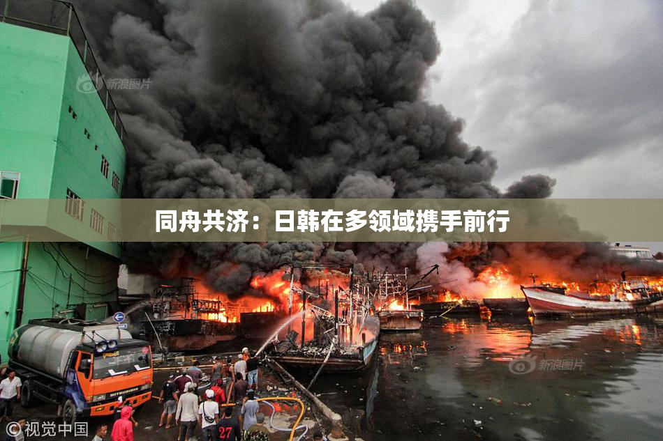 同舟共济：日韩在多领域携手前行