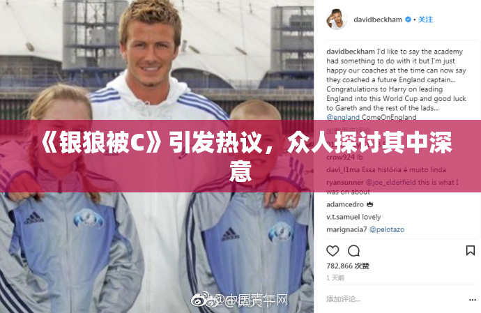 《银狼被C》引发热议，众人探讨其中深意