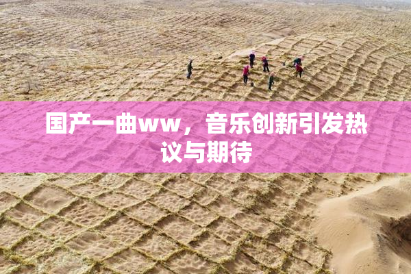 国产一曲ww，音乐创新引发热议与期待