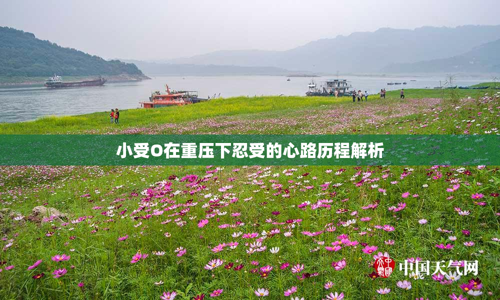 小受O在重压下忍受的心路历程解析