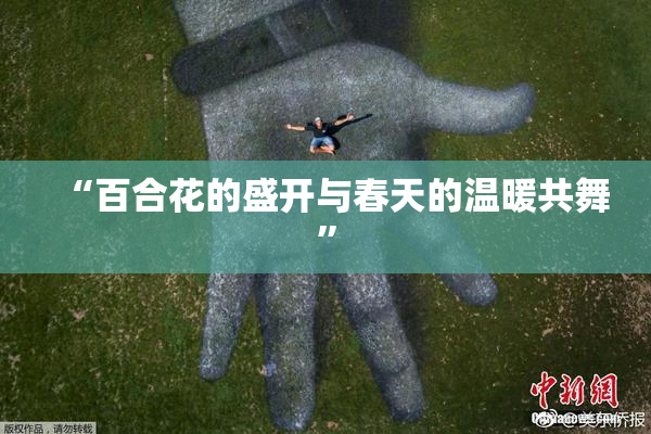 “百合花的盛开与春天的温暖共舞”