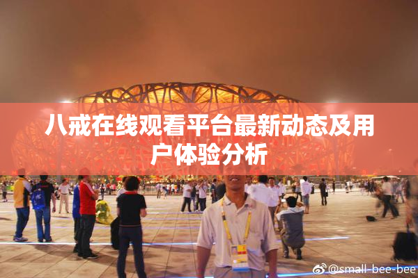 八戒在线观看平台最新动态及用户体验分析