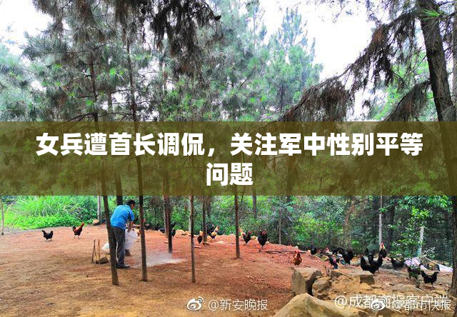 女兵遭首长调侃，关注军中性别平等问题