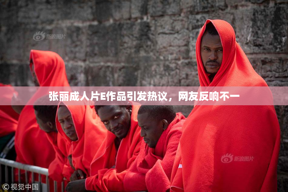 张丽成人片E作品引发热议，网友反响不一