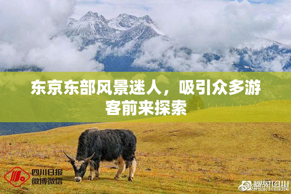 东京东部风景迷人，吸引众多游客前来探索