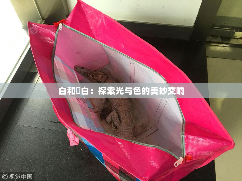白和晄白：探索光与色的美妙交响