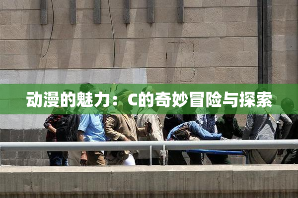动漫的魅力：C的奇妙冒险与探索
