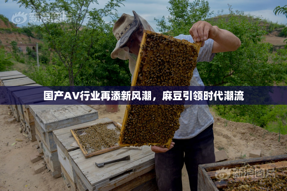 国产AV行业再添新风潮，麻豆引领时代潮流