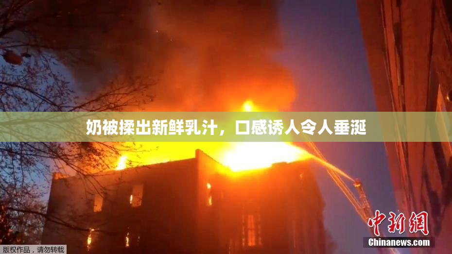 奶被揉出新鲜乳汁，口感诱人令人垂涎