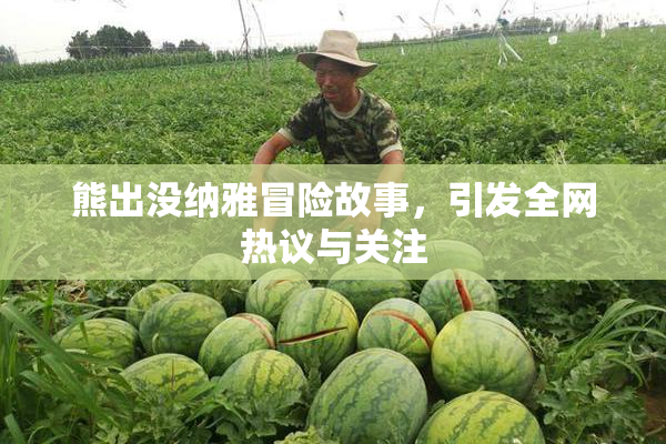 熊出没纳雅冒险故事，引发全网热议与关注