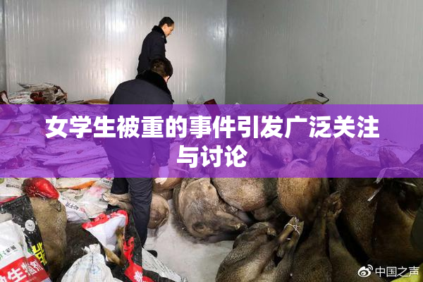 女学生被重的事件引发广泛关注与讨论