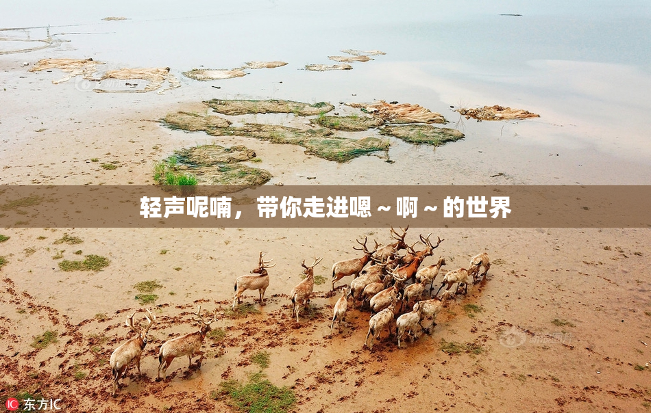 轻声呢喃，带你走进嗯～啊～的世界