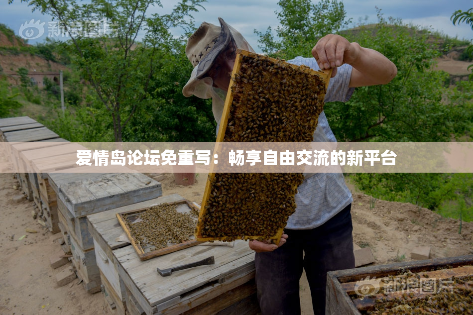 爱情岛论坛免重写：畅享自由交流的新平台