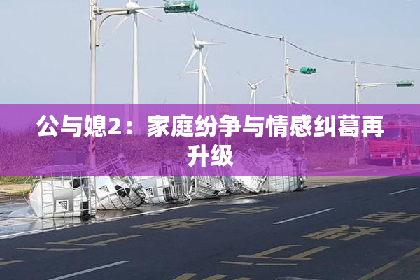 公与媳2：家庭纷争与情感纠葛再升级
