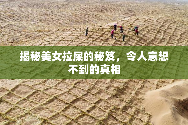 揭秘美女拉屎的秘笈，令人意想不到的真相