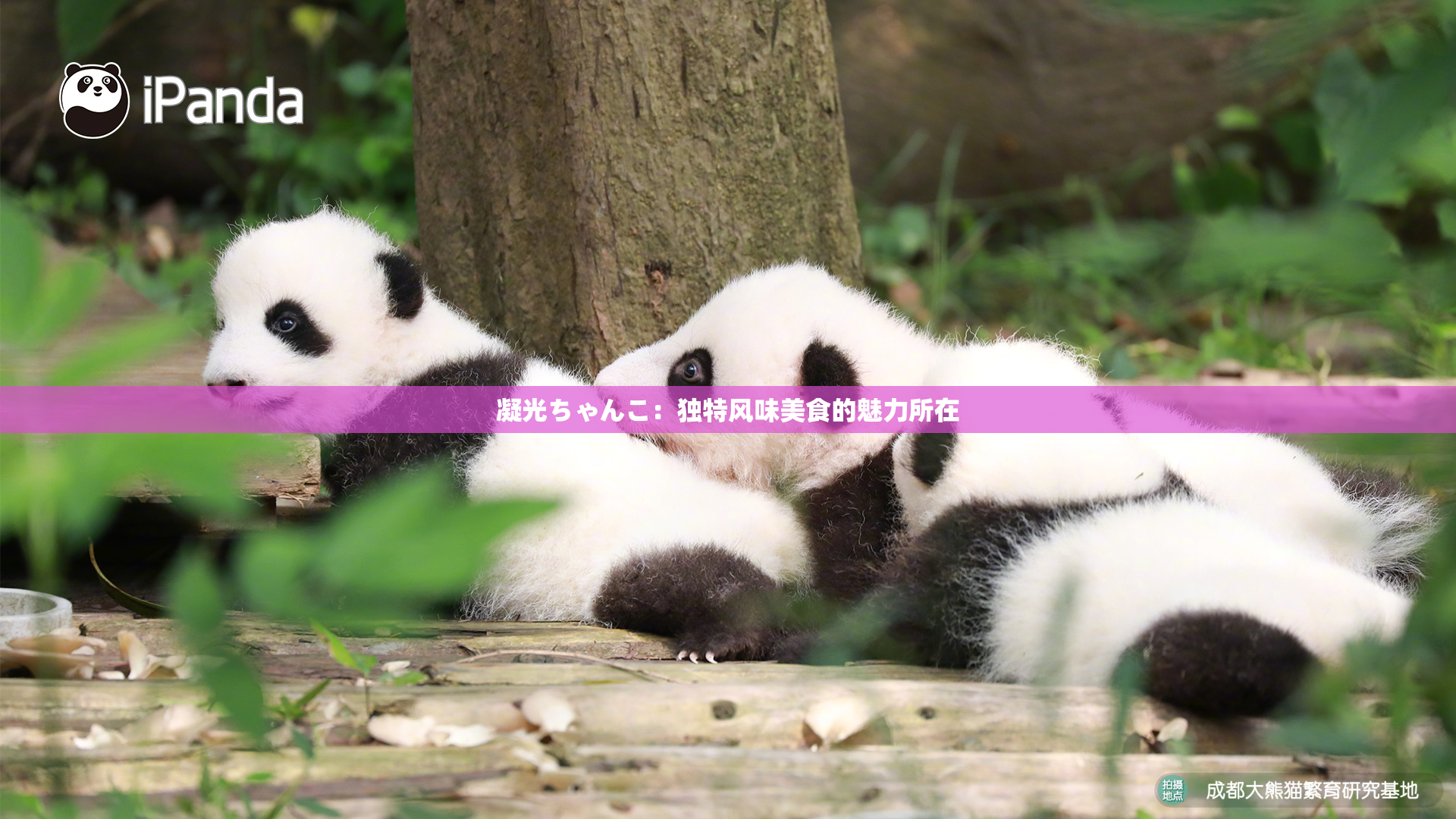 凝光ちゃんこ：独特风味美食的魅力所在
