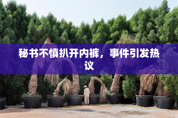 秘书不慎扒开内裤，事件引发热议