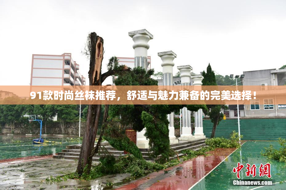 91款时尚丝袜推荐，舒适与魅力兼备的完美选择！