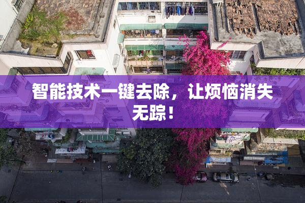 智能技术一键去除，让烦恼消失无踪！