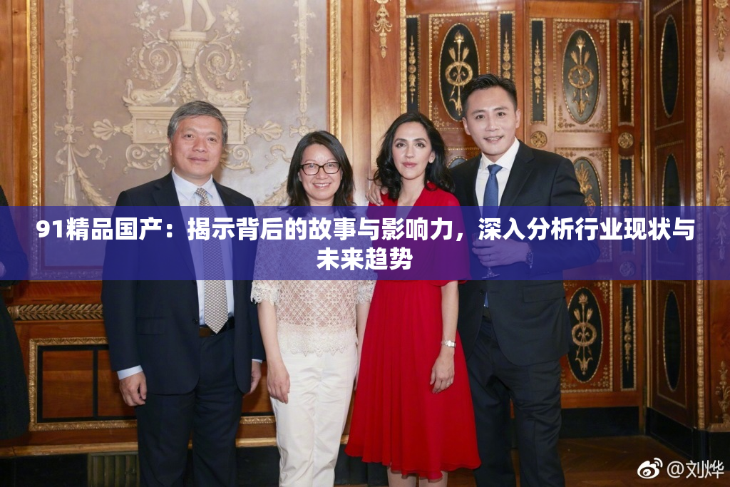 91精品国产：揭示背后的故事与影响力，深入分析行业现状与未来趋势