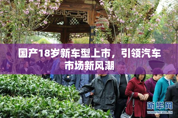 国产18岁新车型上市，引领汽车市场新风潮