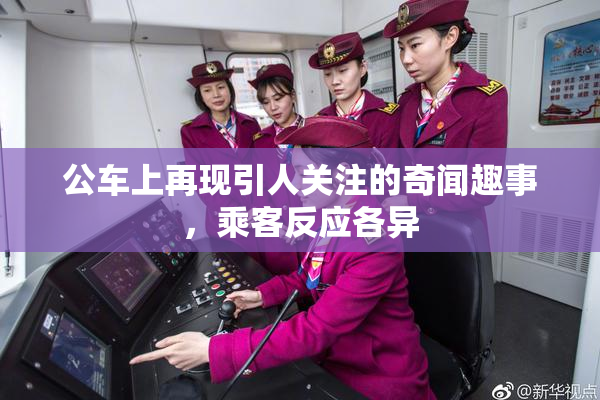 公车上再现引人关注的奇闻趣事，乘客反应各异