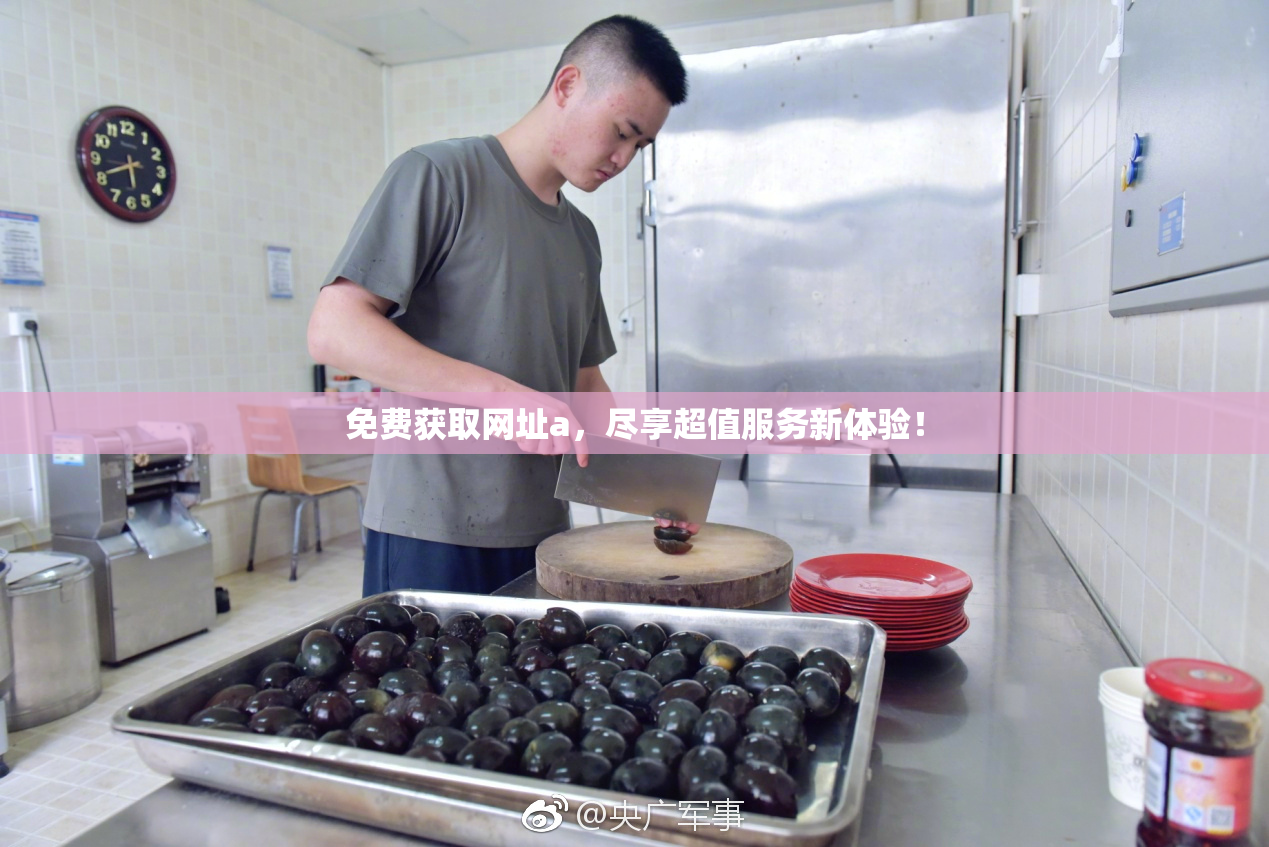 免费获取网址a，尽享超值服务新体验！