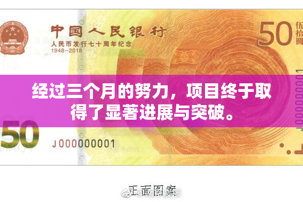 经过三个月的努力，项目终于取得了显著进展与突破。