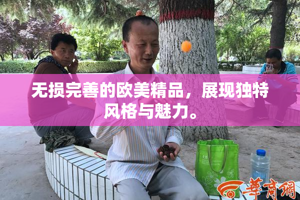 无损完善的欧美精品，展现独特风格与魅力。