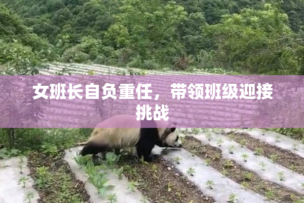 女班长自负重任，带领班级迎接挑战