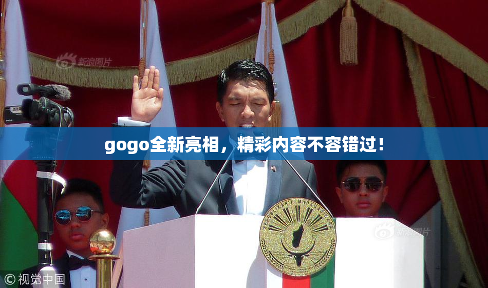 gogo全新亮相，精彩内容不容错过！