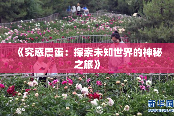 《究惑震蛋：探索未知世界的神秘之旅》