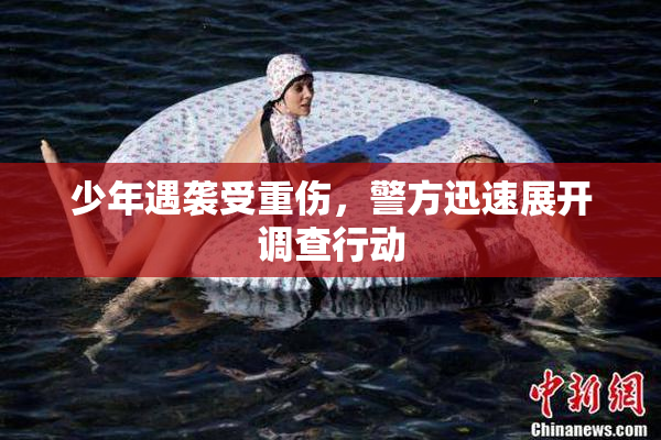 少年遇袭受重伤，警方迅速展开调查行动