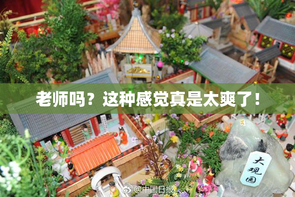 老师吗？这种感觉真是太爽了！