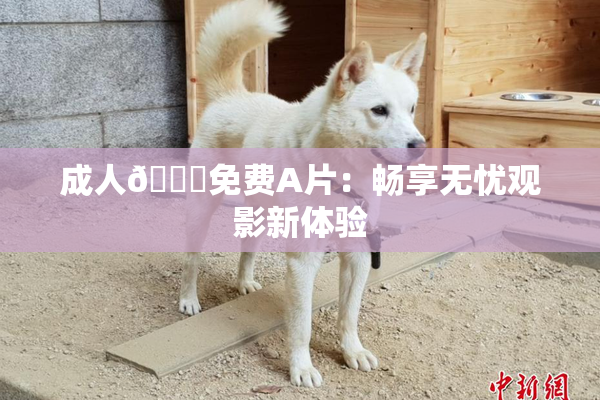 成人🔞免费A片：畅享无忧观影新体验