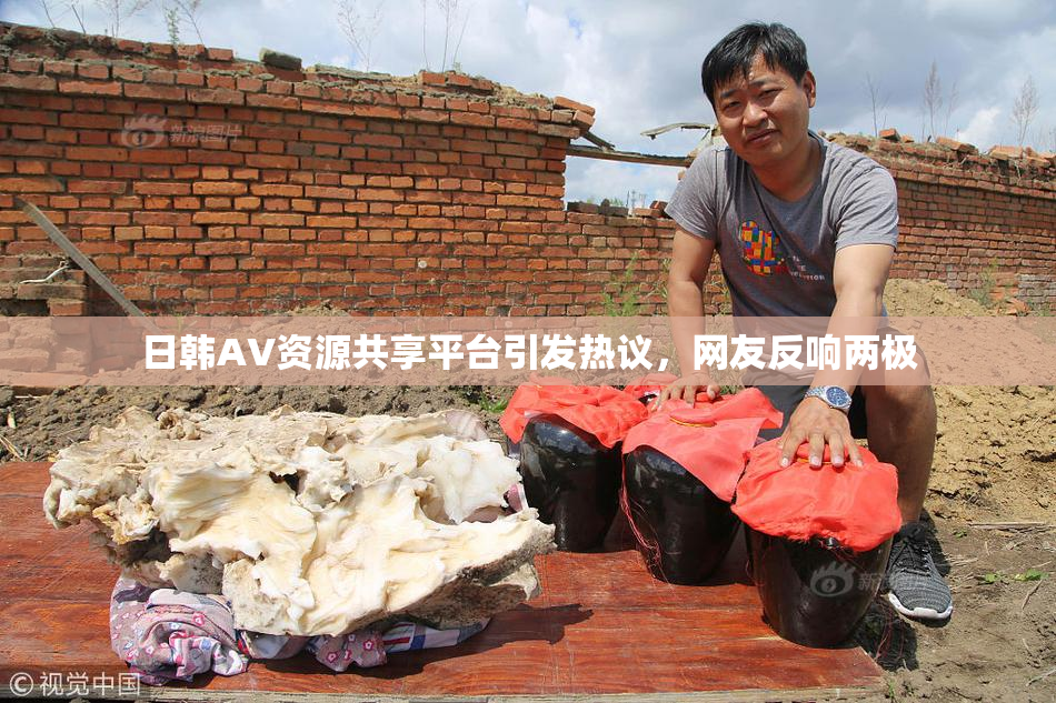日韩AV资源共享平台引发热议，网友反响两极