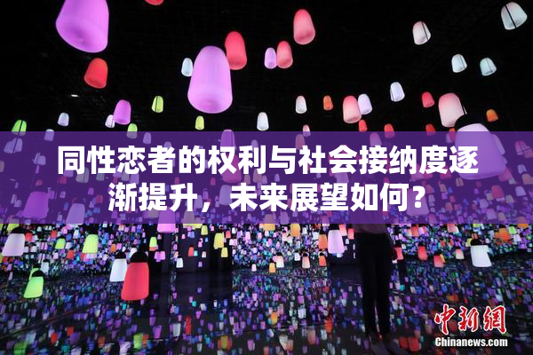 同性恋者的权利与社会接纳度逐渐提升，未来展望如何？