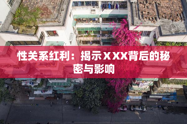 性关系红利：揭示ⅩXX背后的秘密与影响