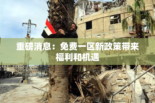 重磅消息：免费一区新政策带来福利和机遇
