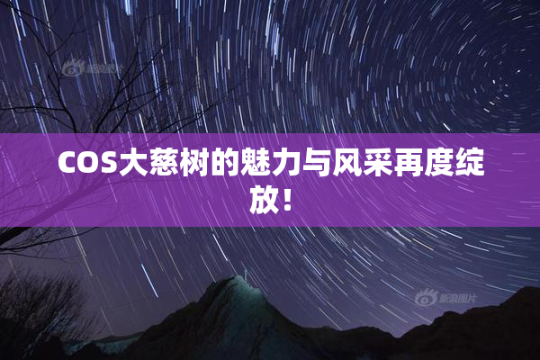COS大慈树的魅力与风采再度绽放！
