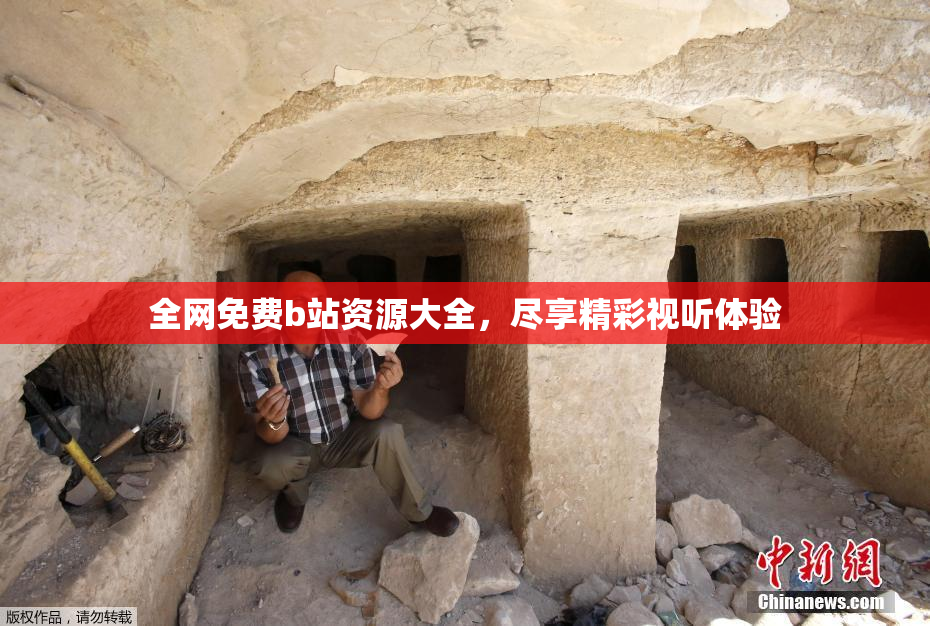 全网免费b站资源大全，尽享精彩视听体验