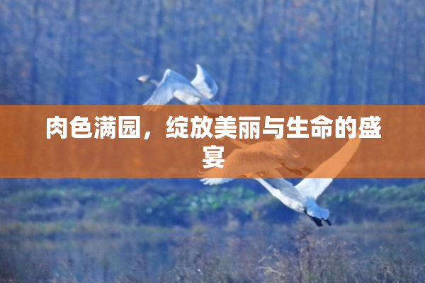 肉色满园，绽放美丽与生命的盛宴