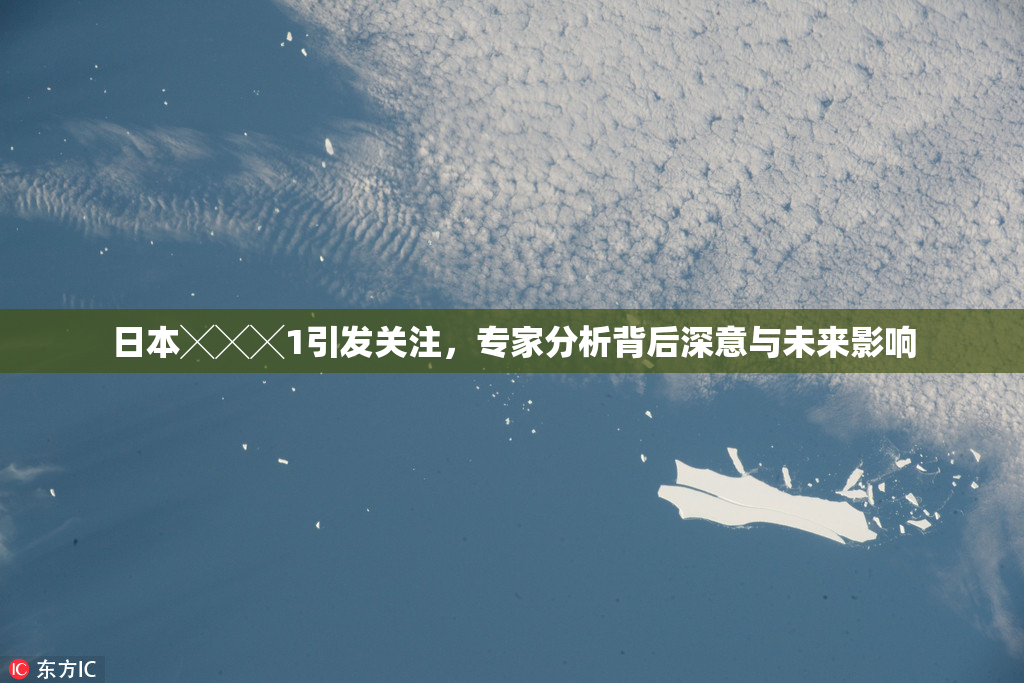 日本╳╳╳1引发关注，专家分析背后深意与未来影响