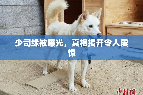 少司缘被曝光，真相揭开令人震惊