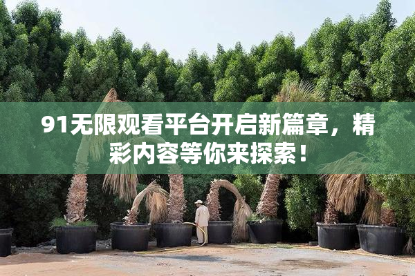 91无限观看平台开启新篇章，精彩内容等你来探索！