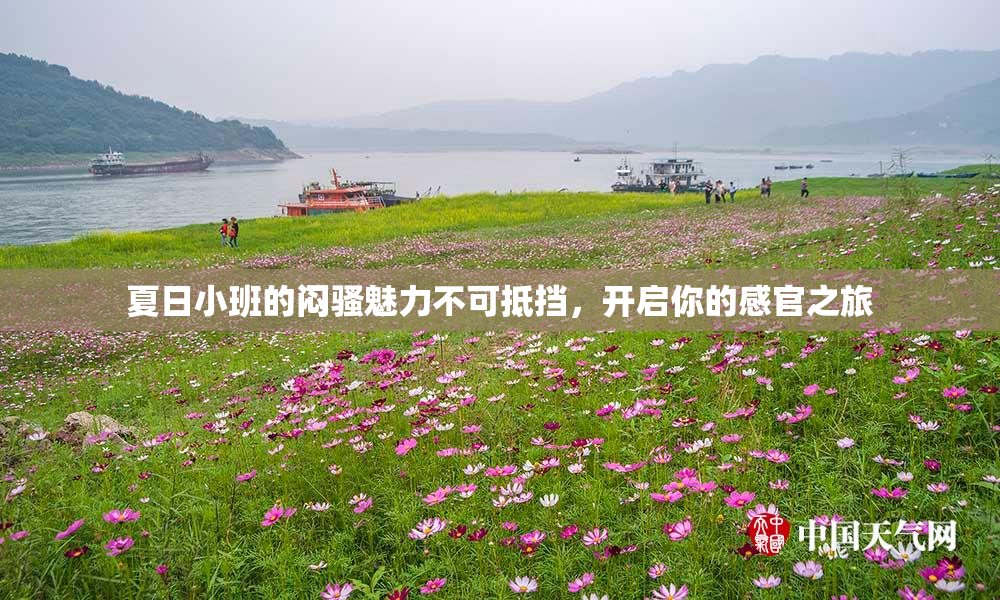 夏日小班的闷骚魅力不可抵挡，开启你的感官之旅