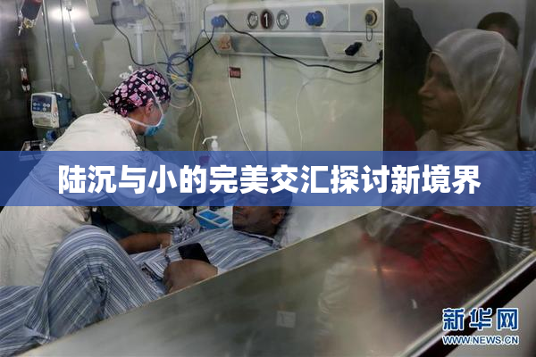 陆沉与小的完美交汇探讨新境界