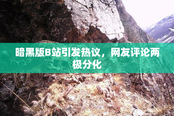 暗黑版B站引发热议，网友评论两极分化
