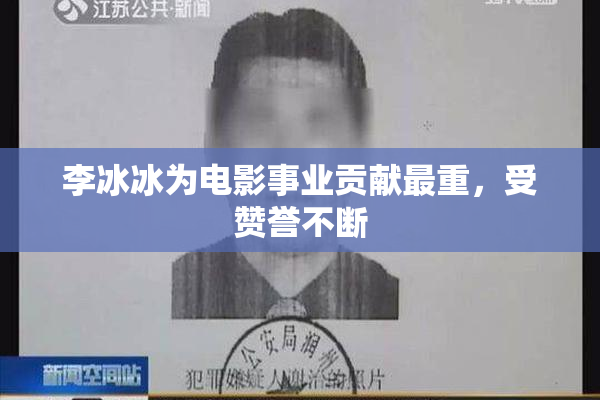 李冰冰为电影事业贡献最重，受赞誉不断