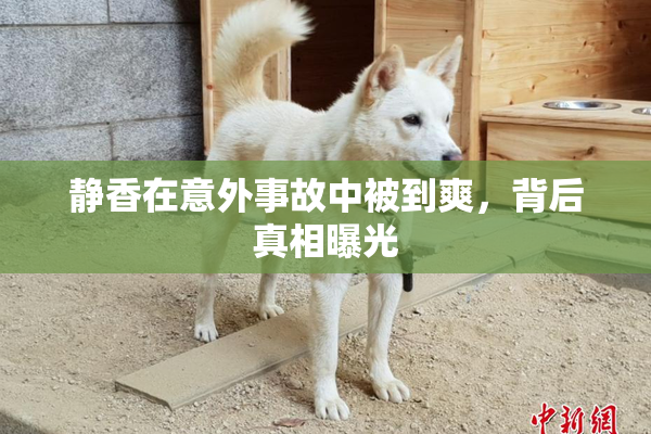 静香在意外事故中被到爽，背后真相曝光